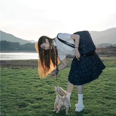 边境法规